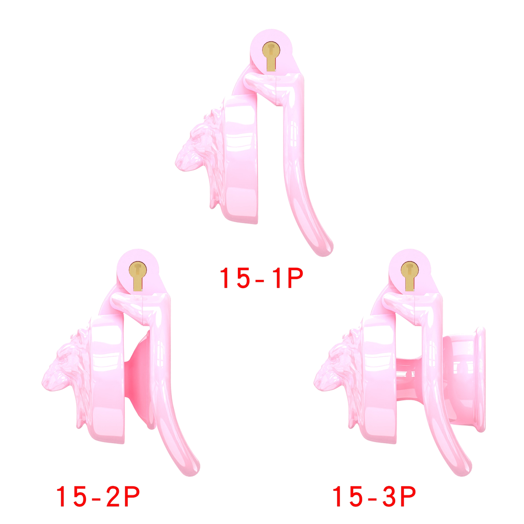 Generation 15 Chastity Cage Set - main image