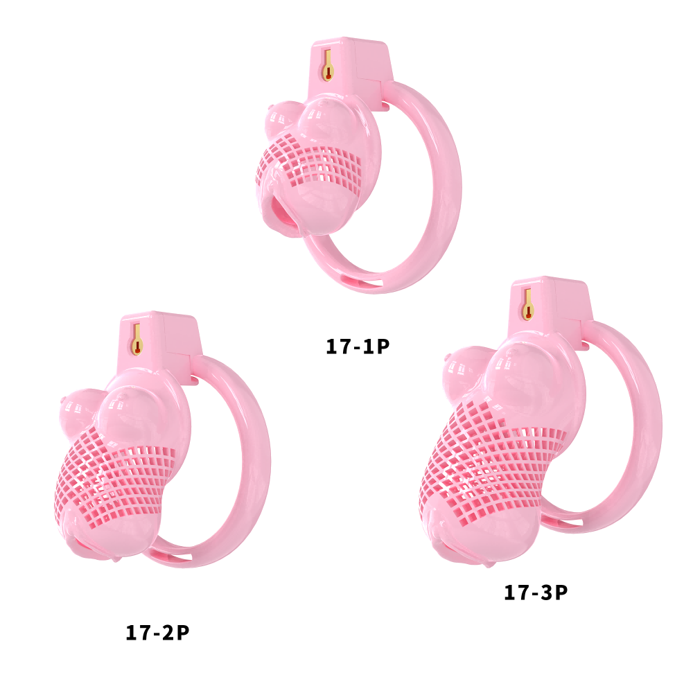 Generation 17 Chastity Cage Set - main image