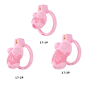 Generation 17 Chastity Cage Set - main image