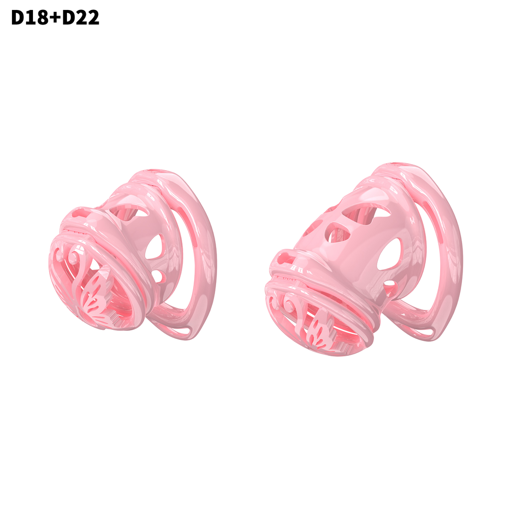 D18 Dual-Lock Chastity Set with D22-A - main image