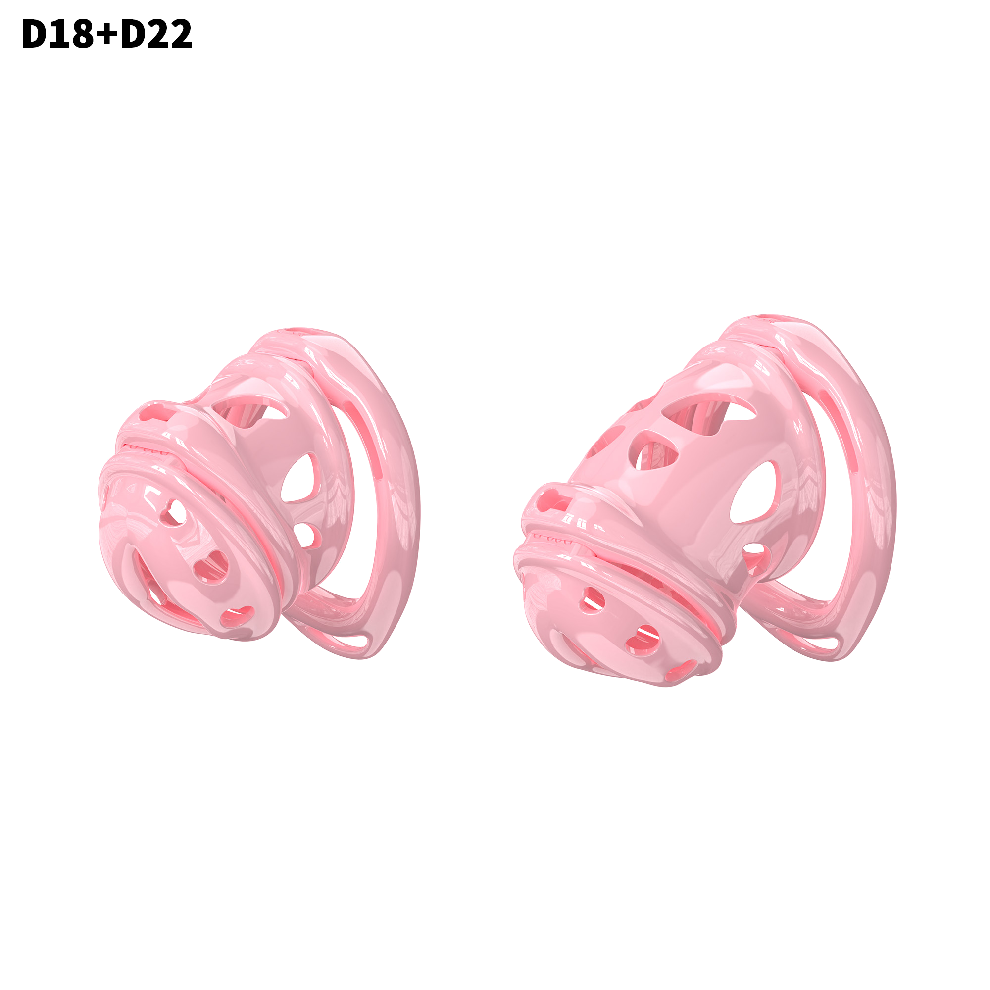 D18 Dual-Lock Chastity Set with D22-B - main image