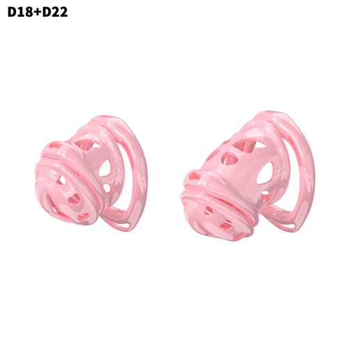 D18 Dual-Lock Chastity Set with D22-B - main image