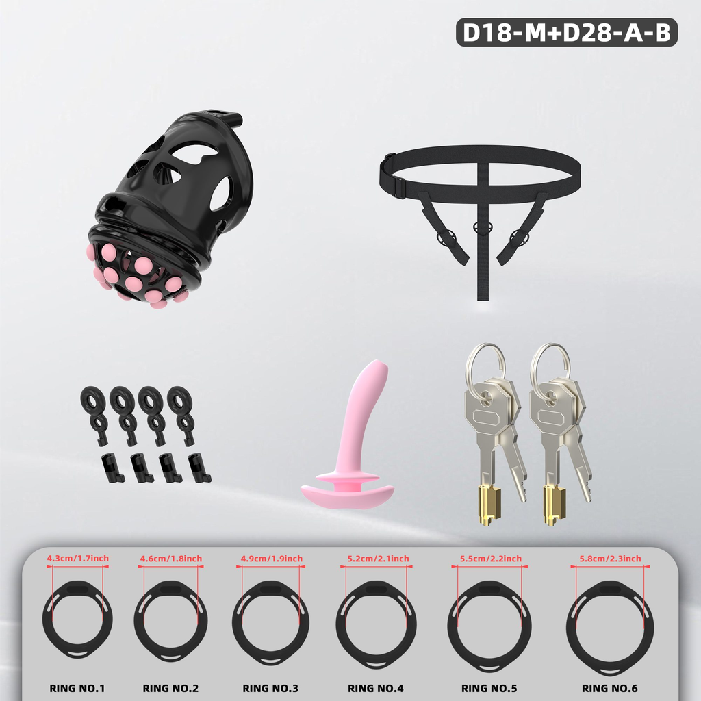 D18 Dual-Lock Chastity Set with D28-A - detail 2