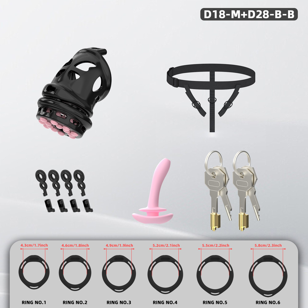 D18 Dual-Lock Chastity Set with D28-B - detail 2