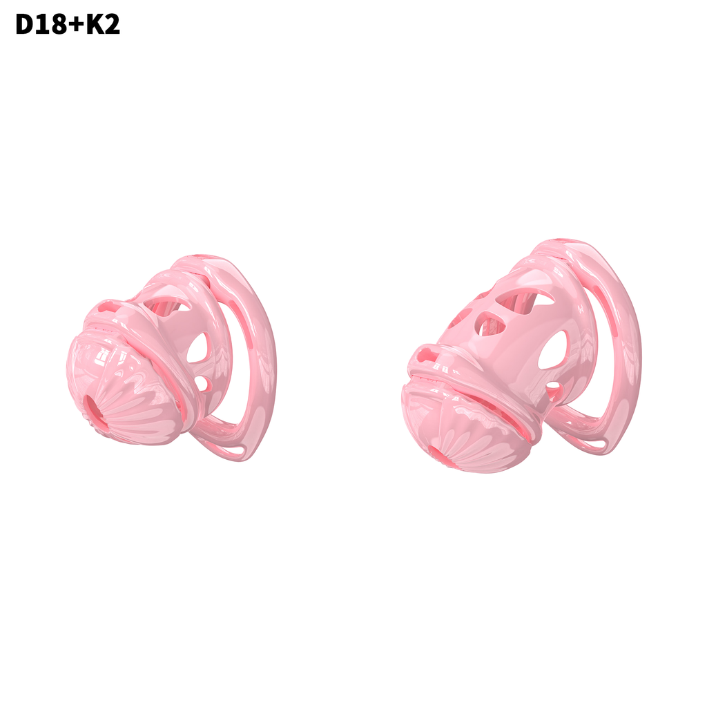D18 Dual-Lock Chastity Set with K2-A - main image