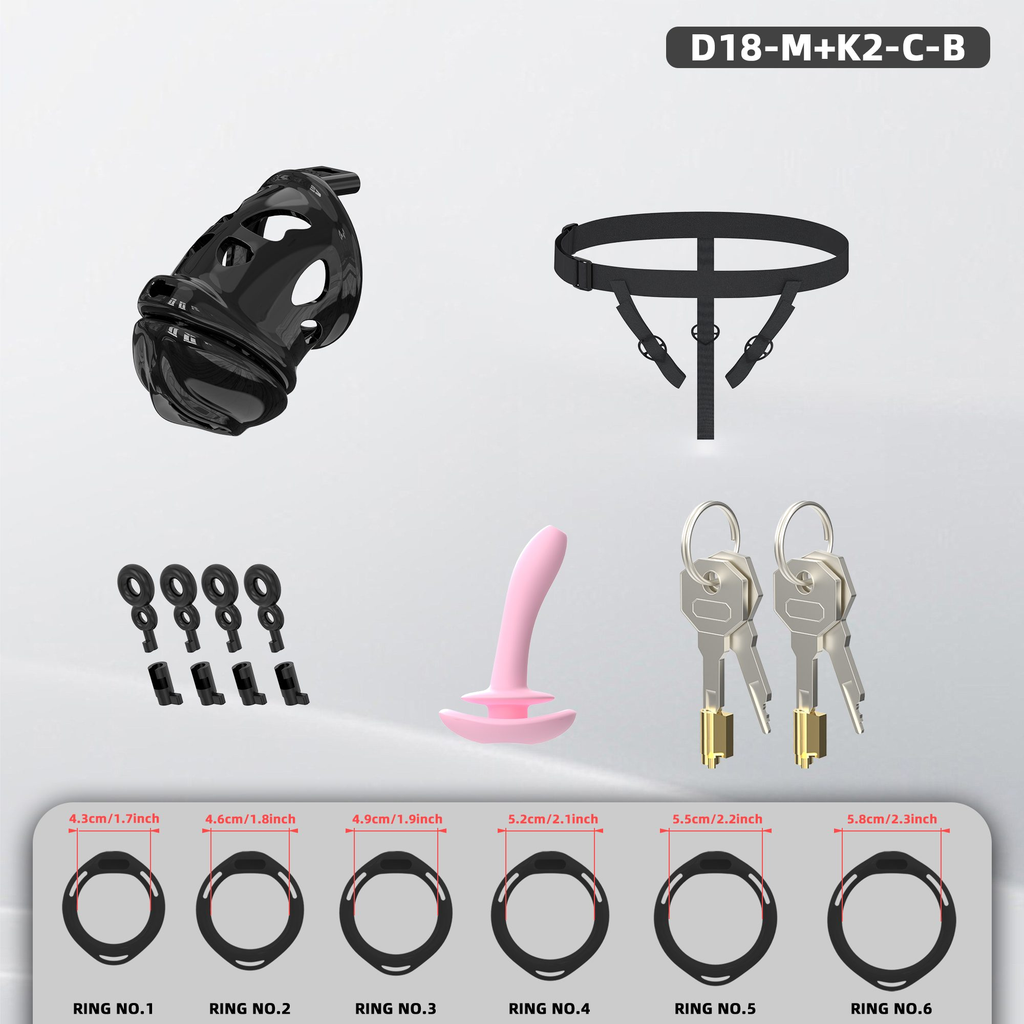 D18 Dual-Lock Chastity Set with K2-C - detail 2
