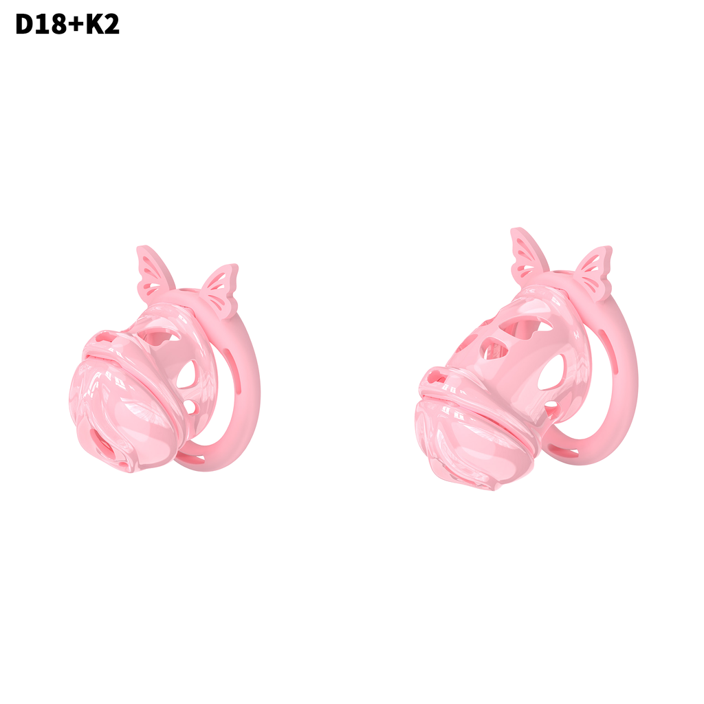 D18 Dual-Lock Chastity Set with K2-C - detail 1