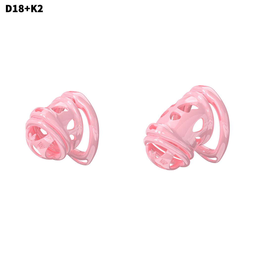 D18 Dual-Lock Chastity Set with K2-D - main image