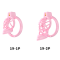Generation 19 Chastity Cage Set - main image