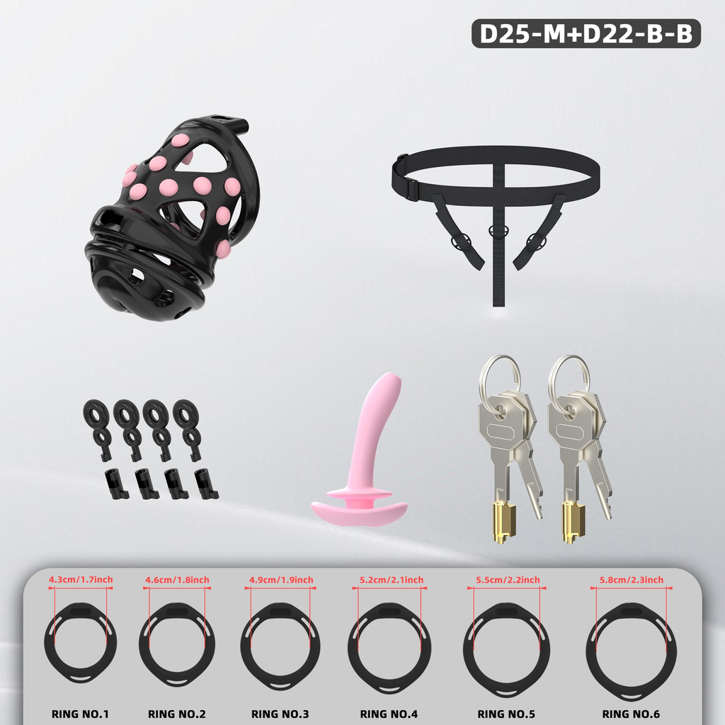 D25 Dual-Lock Chastity Set with D22-B - detail 2
