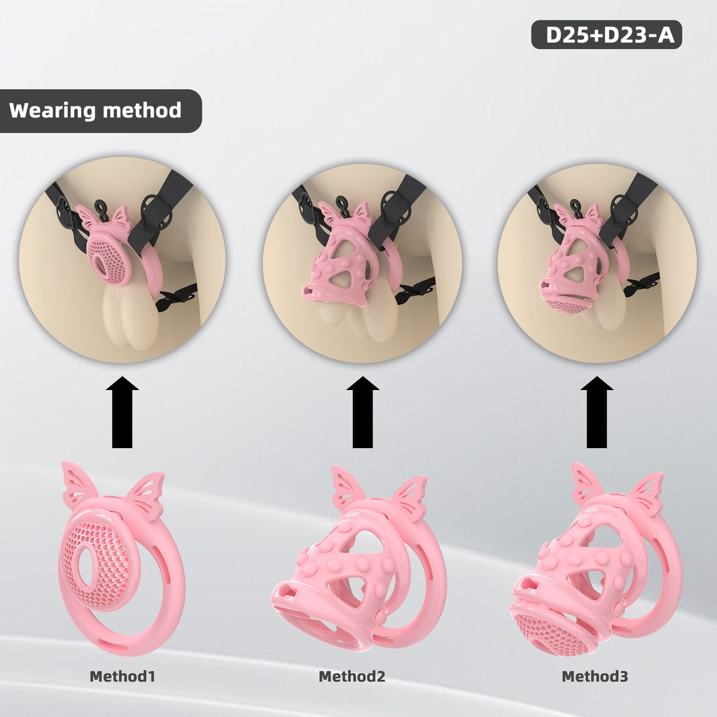 D25 Dual-Lock Chastity Set with D23-A - detail 1