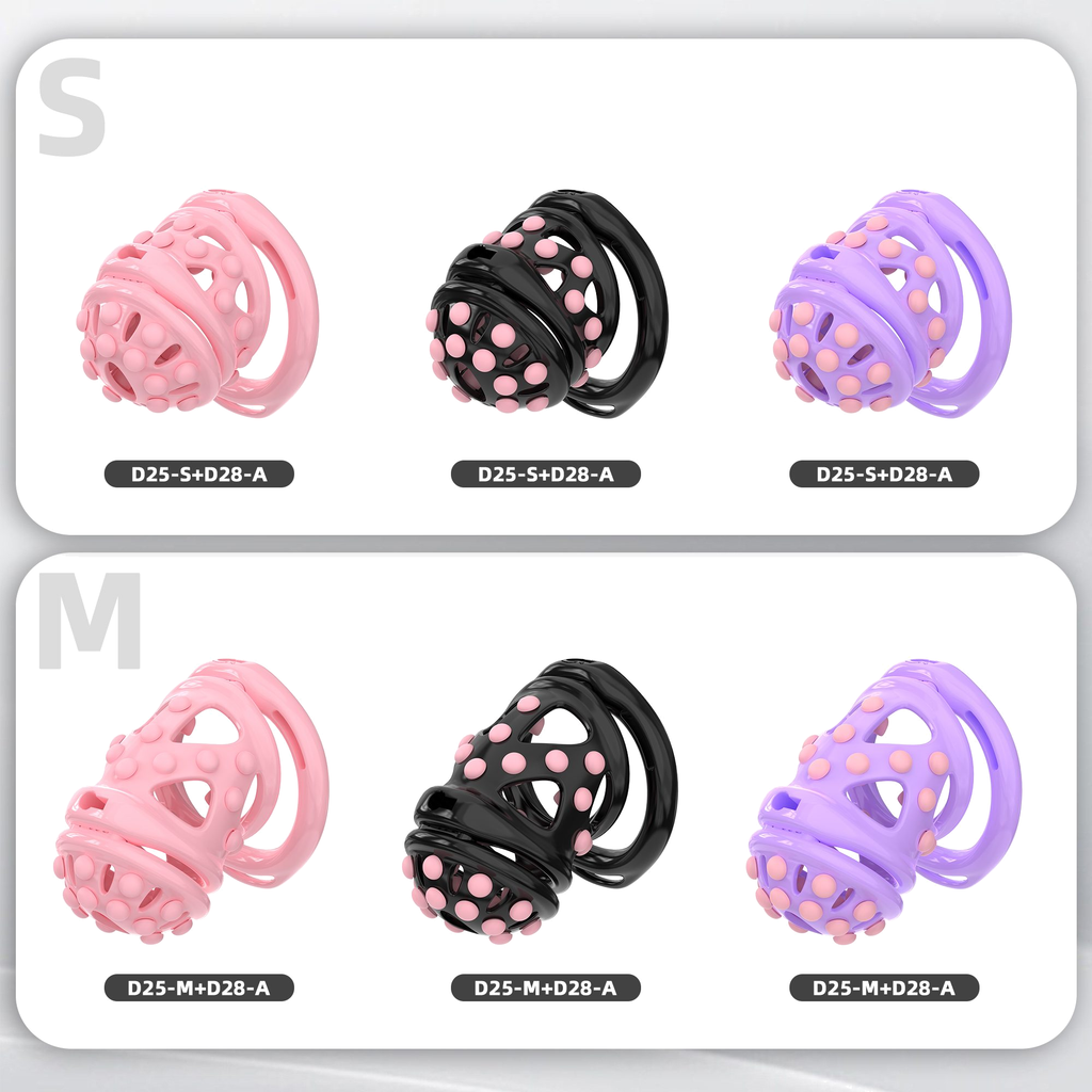 D25 Dual-Lock Chastity Set with D28-A - main image
