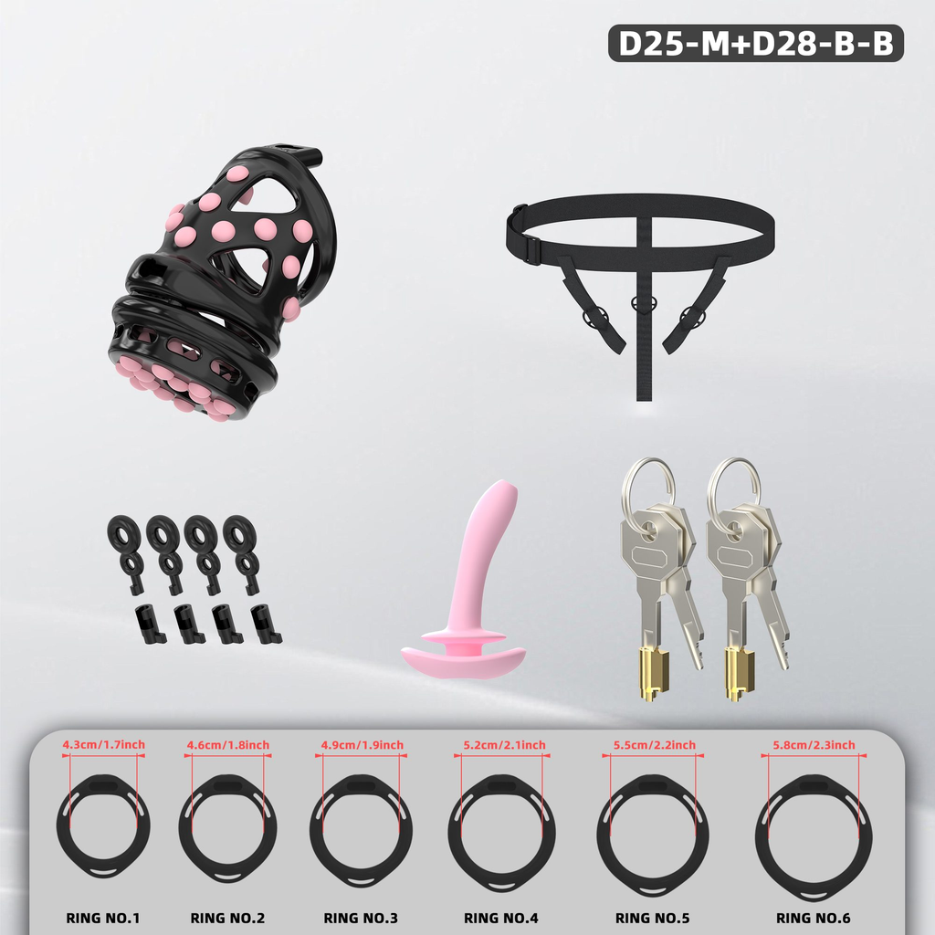 D25 Dual-Lock Chastity Set with D28-B - detail 2