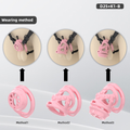 D25 Dual-Lock Chastity Set with K1-B - main image