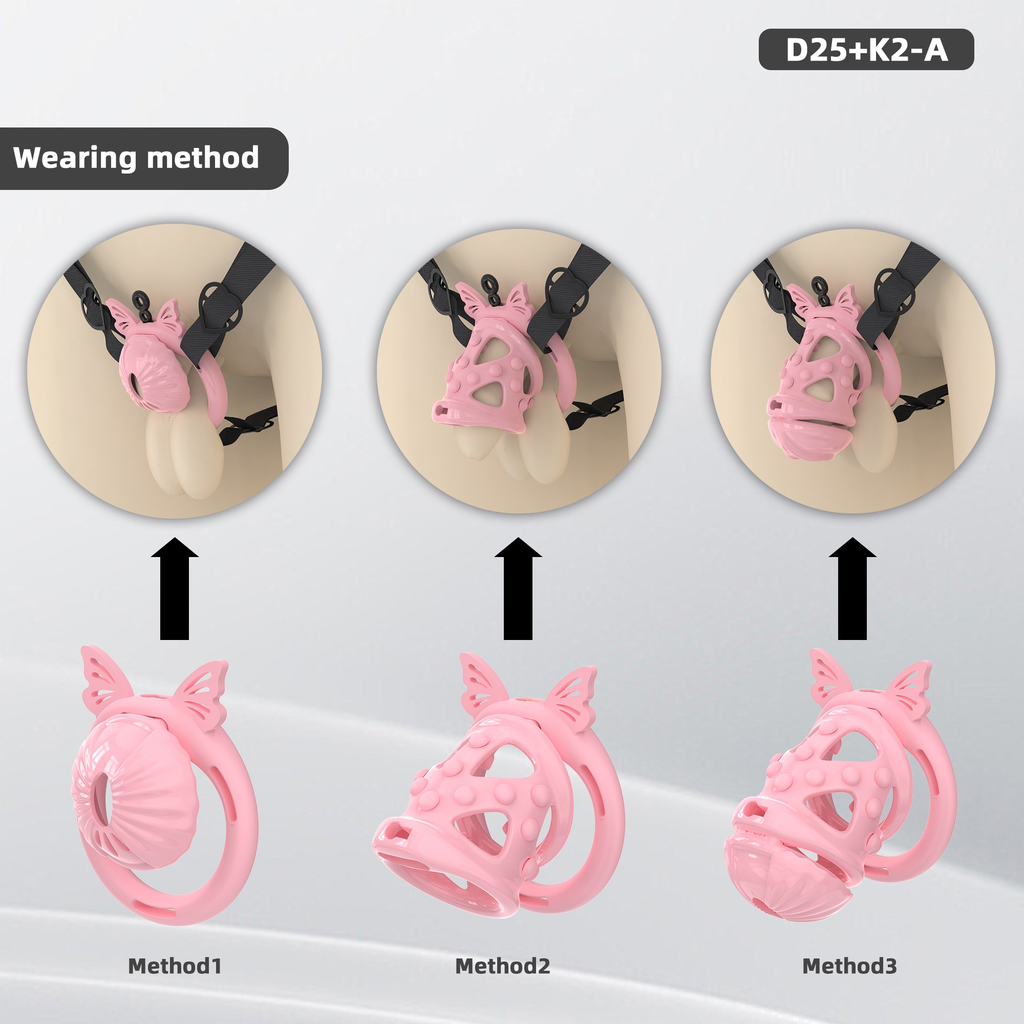 D25 Dual-Lock Chastity Set with K2-A - detail 1