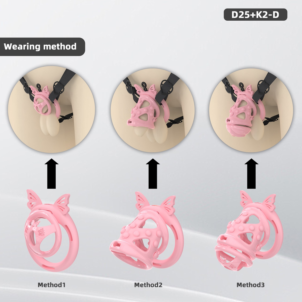 D25 Dual-Lock Chastity Set with K2-D - detail 1