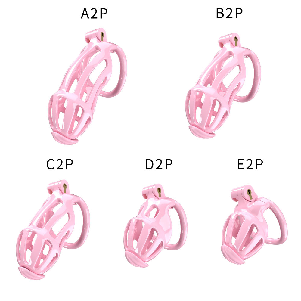 Generation 2 Chastity Cage Set - main image
