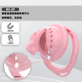 R1 Chastity Cage Set (6 Plastic Rings) - main image